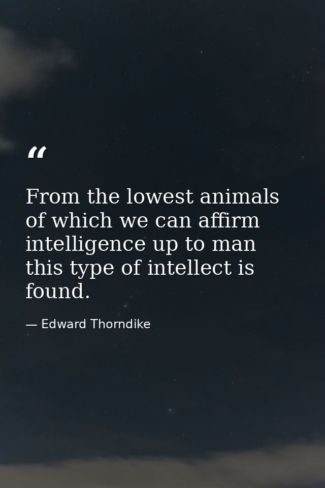 From the lowest animals of which we can affirm intelligence up to man this type of intellect is found. — Edward Thorndike