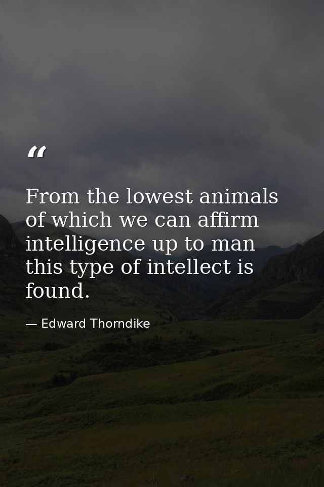 From the lowest animals of which we can affirm intelligence up to man this type of intellect is found. — Edward Thorndike