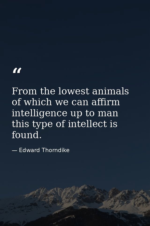 From the lowest animals of which we can affirm intelligence up to man this type of intellect is found. — Edward Thorndike