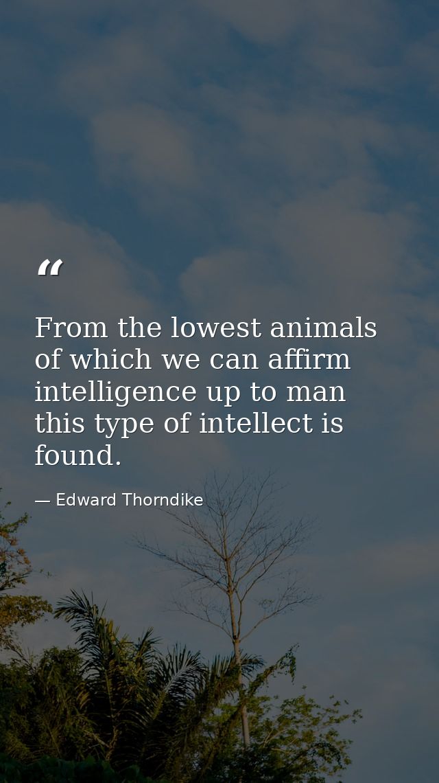From the lowest animals of which we can affirm intelligence up to man this type of intellect is found. — Edward Thorndike