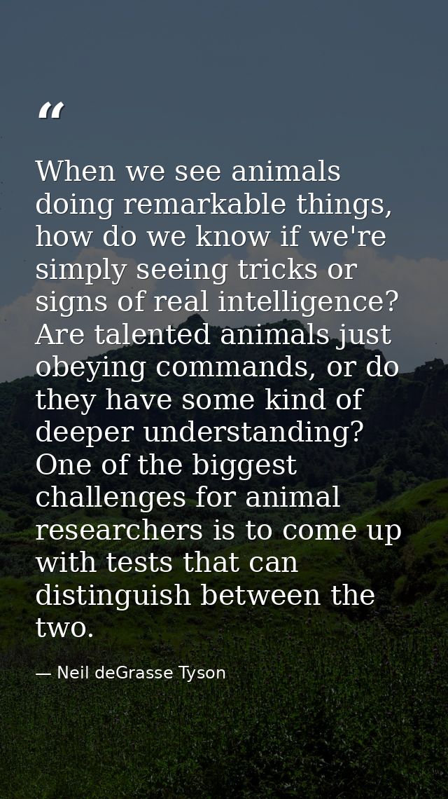When we see animals doing remarkable things, how do we know if we're simply seeing tricks or signs of real intelligence? — Neil deGrasse Tyson