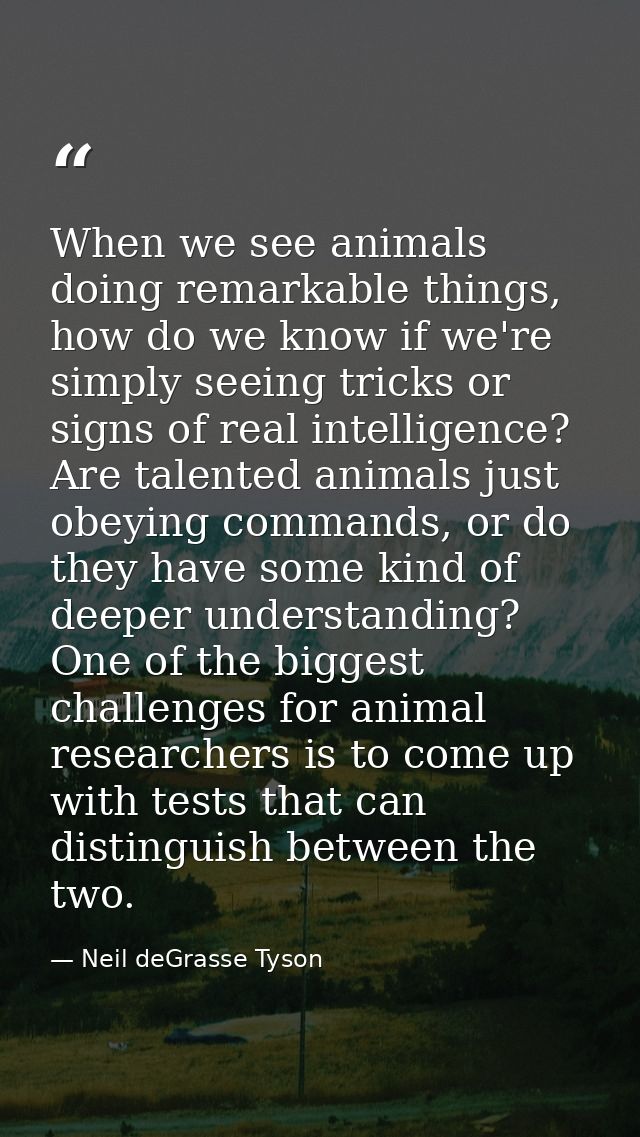 When we see animals doing remarkable things, how do we know if we're simply seeing tricks or signs of real intelligence? — Neil deGrasse Tyson