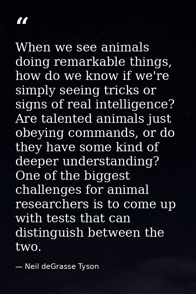 When we see animals doing remarkable things, how do we know if we're simply seeing tricks or signs of real intelligence? — Neil deGrasse Tyson