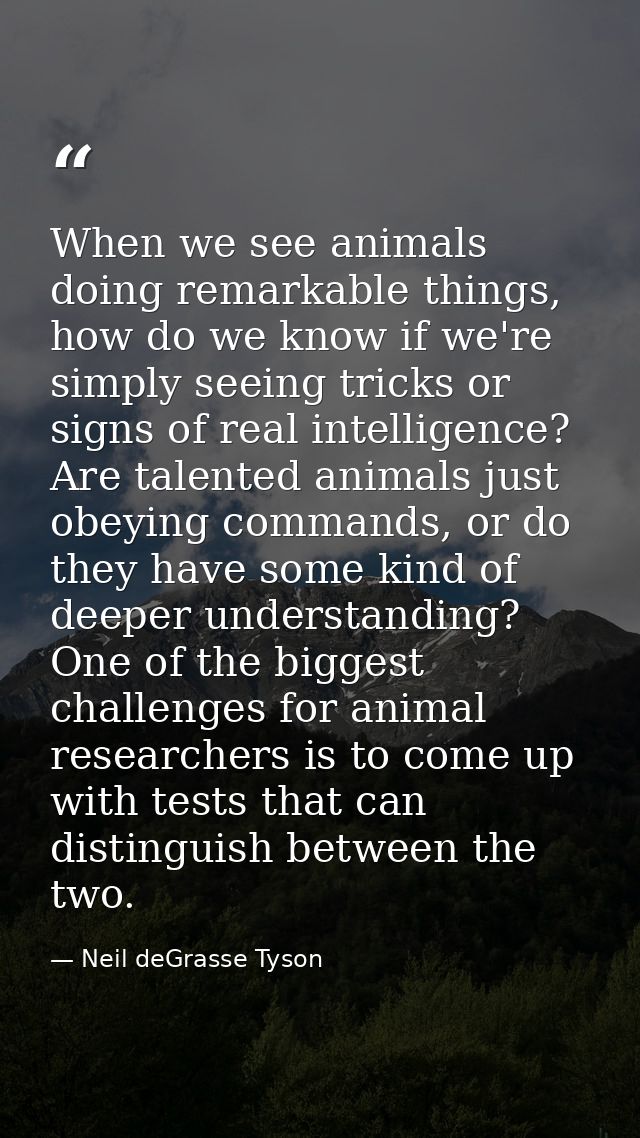 When we see animals doing remarkable things, how do we know if we're simply seeing tricks or signs of real intelligence? — Neil deGrasse Tyson