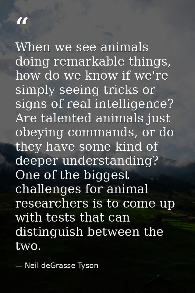 When we see animals doing remarkable things, how do we know if we're simply seeing tricks or signs of real intelligence? — Neil deGrasse Tyson