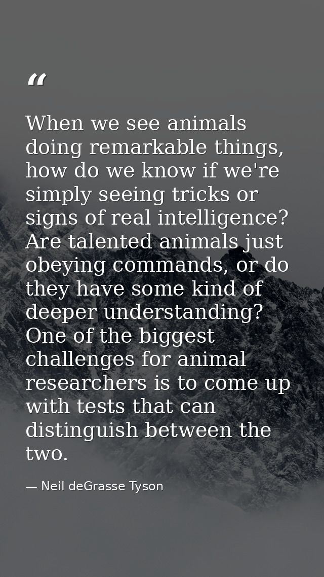 When we see animals doing remarkable things, how do we know if we're simply seeing tricks or signs of real intelligence? — Neil deGrasse Tyson