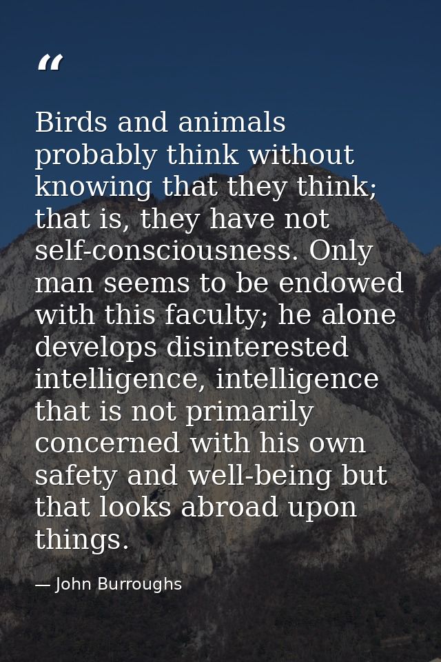 Birds and animals probably think without knowing that they think; that is, they have not self-consciousness. Only man se — John Burroughs
