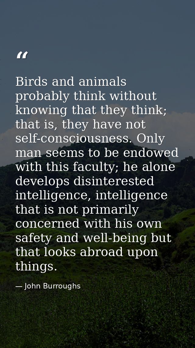 Birds and animals probably think without knowing that they think; that is, they have not self-consciousness. Only man se — John Burroughs