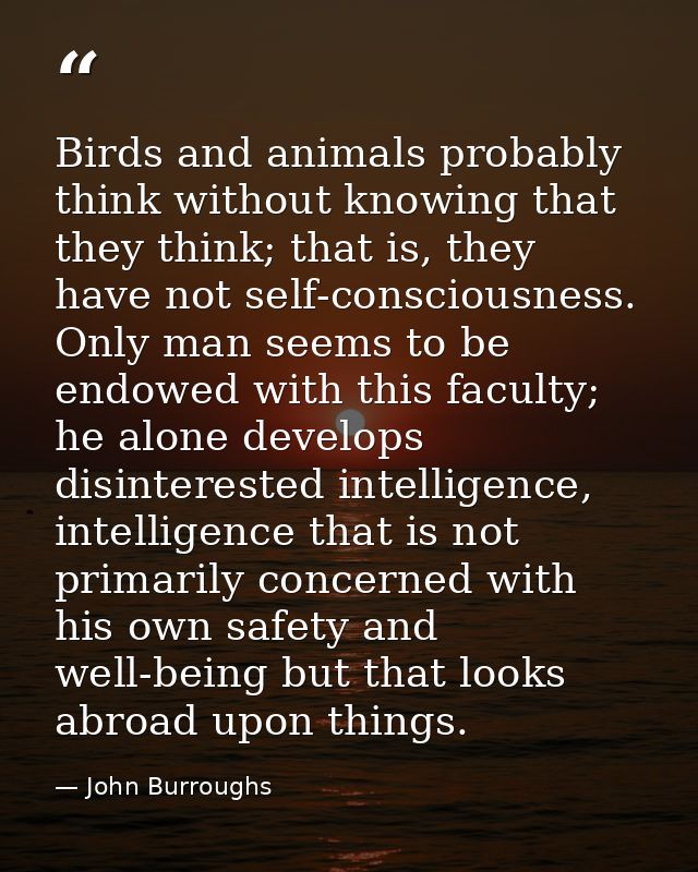 Birds and animals probably think without knowing that they think; that is, they have not self-consciousness. Only man se — John Burroughs