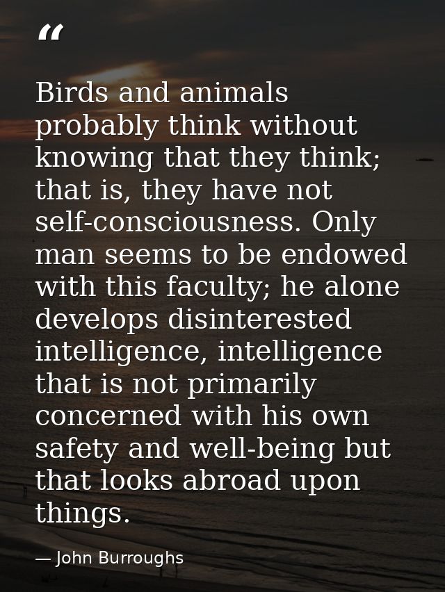 Birds and animals probably think without knowing that they think; that is, they have not self-consciousness. Only man se — John Burroughs