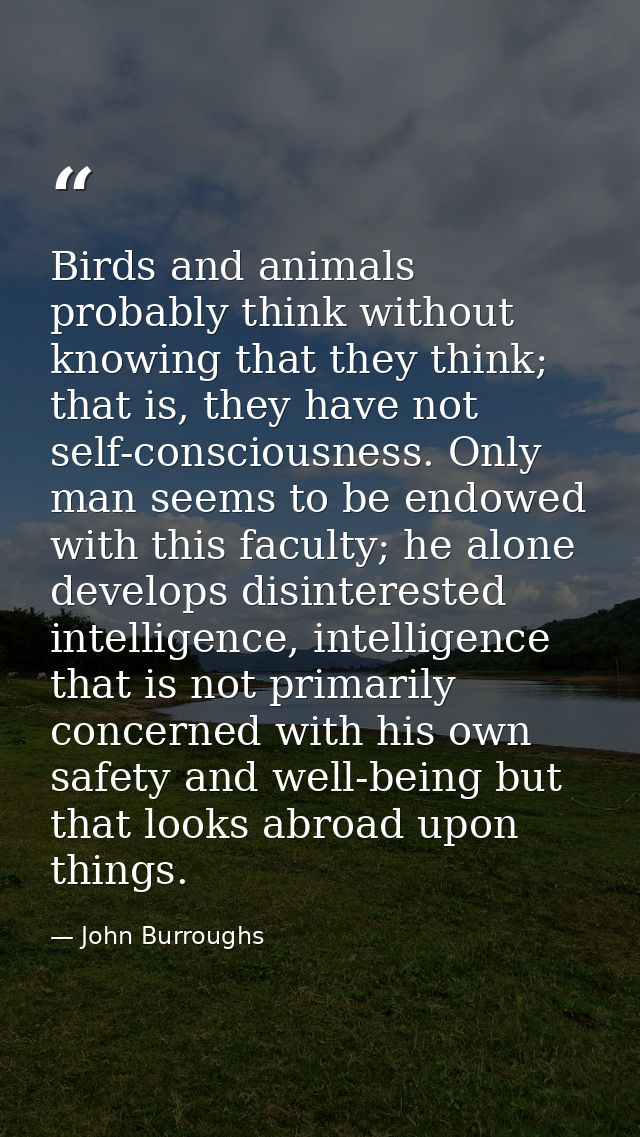 Birds and animals probably think without knowing that they think; that is, they have not self-consciousness. Only man se — John Burroughs