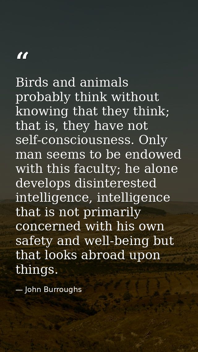 Birds and animals probably think without knowing that they think; that is, they have not self-consciousness. Only man se — John Burroughs