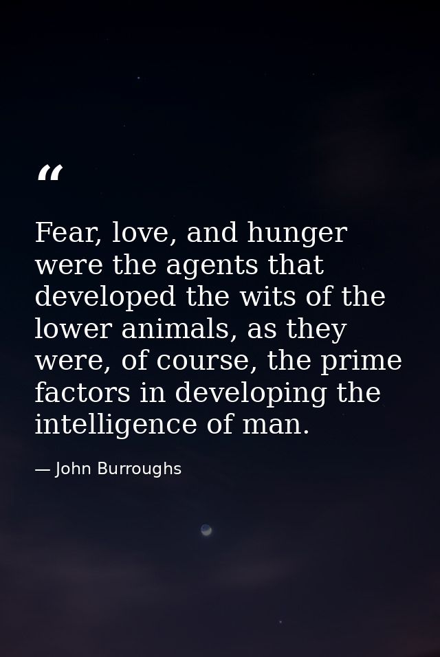 Fear, love, and hunger were the agents that developed the wits of the lower animals, as they were, of course, the prime  — John Burroughs
