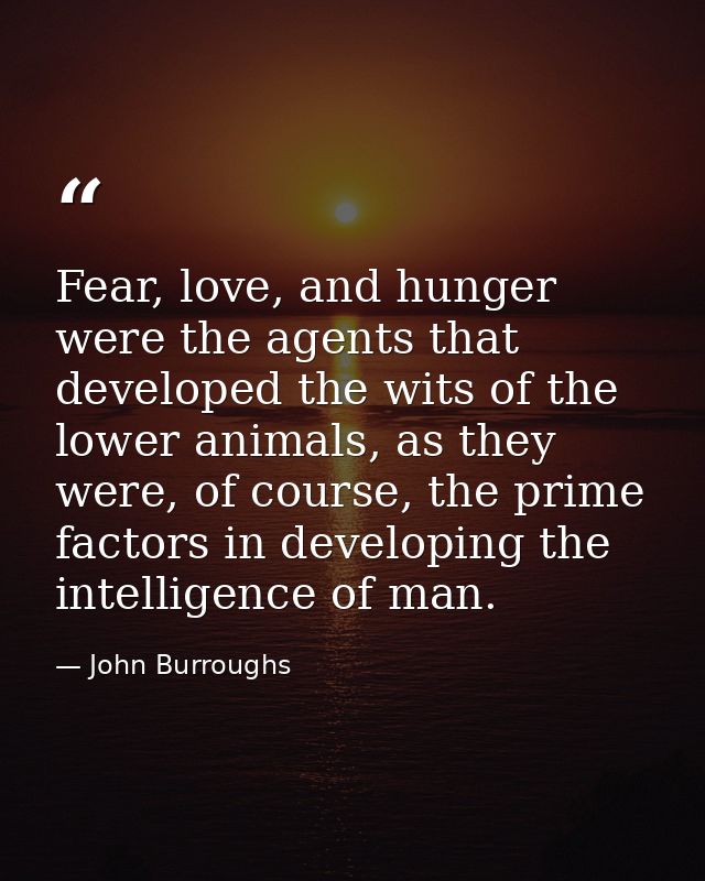 Fear, love, and hunger were the agents that developed the wits of the lower animals, as they were, of course, the prime  — John Burroughs