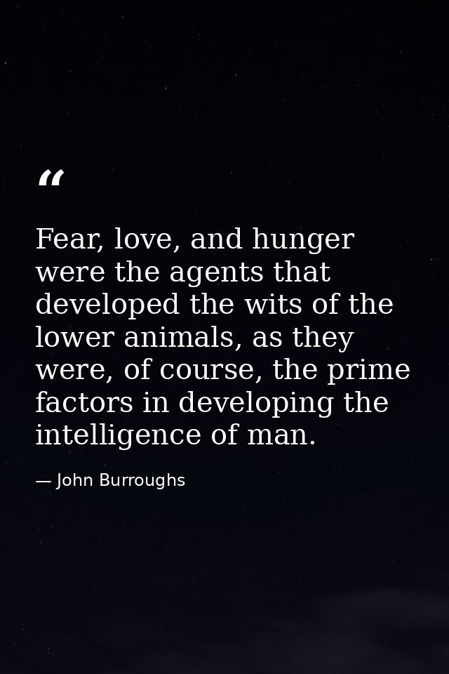 Fear, love, and hunger were the agents that developed the wits of the lower animals, as they were, of course, the prime  — John Burroughs