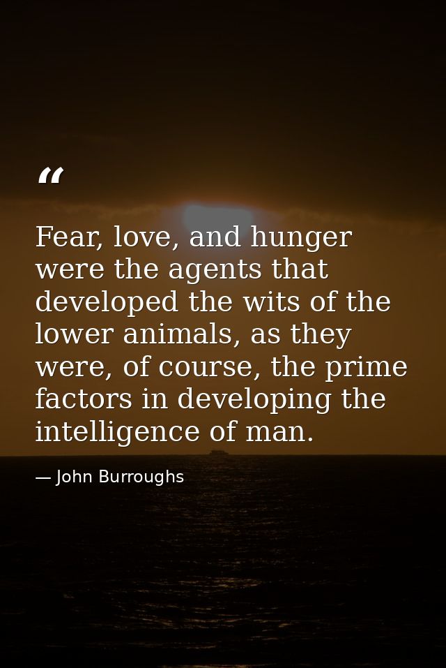 Fear, love, and hunger were the agents that developed the wits of the lower animals, as they were, of course, the prime  — John Burroughs