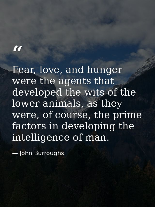 Fear, love, and hunger were the agents that developed the wits of the lower animals, as they were, of course, the prime  — John Burroughs
