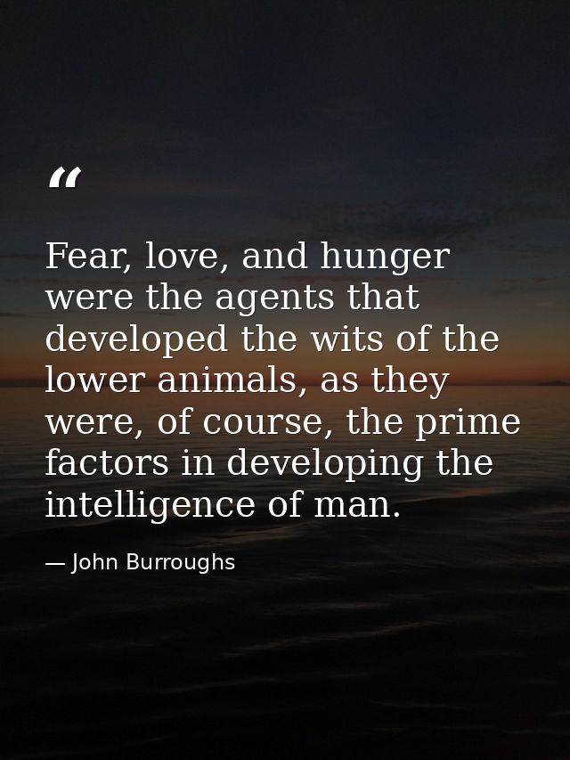 Fear, love, and hunger were the agents that developed the wits of the lower animals, as they were, of course, the prime  — John Burroughs