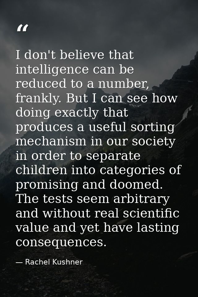 I don't believe that intelligence can be reduced to a number, frankly. But I can see how doing exactly that produces a u — Rachel Kushner