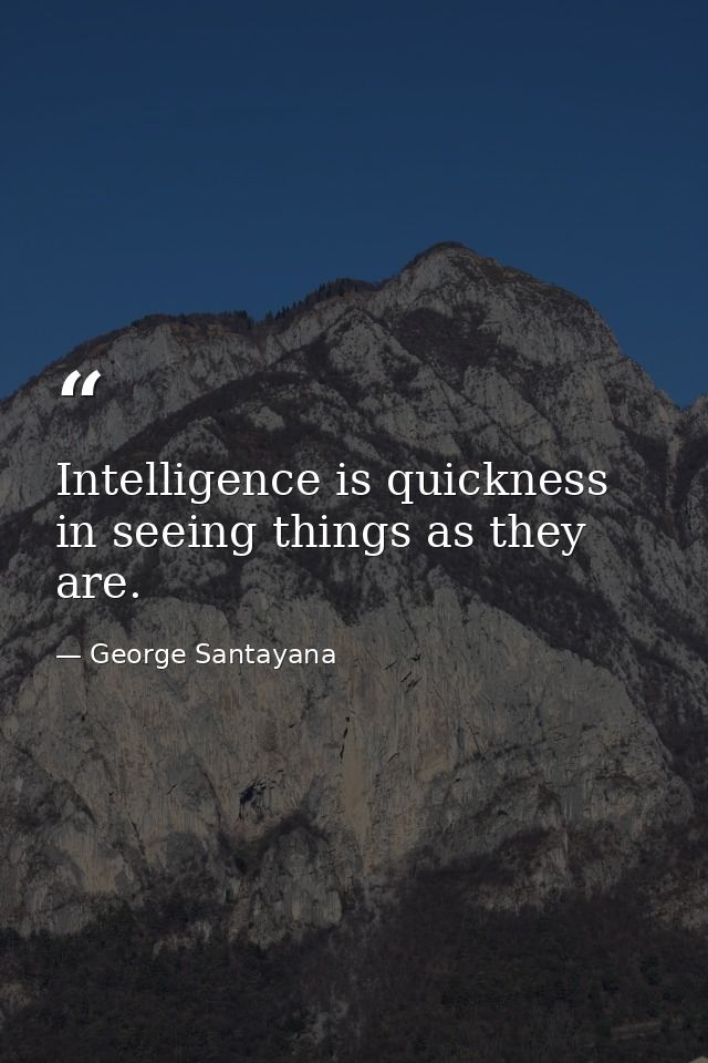 Intelligence is quickness in seeing things as they are. — George Santayana