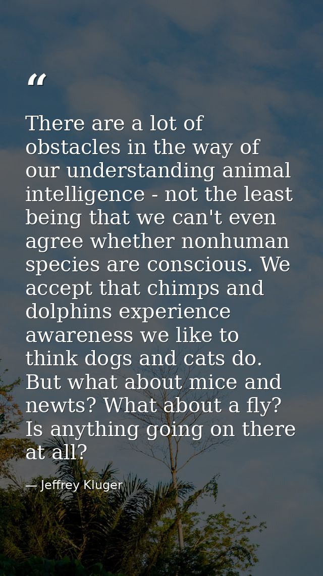 There are a lot of obstacles in the way of our understanding animal intelligence - not the least being that we can't eve — Jeffrey Kluger