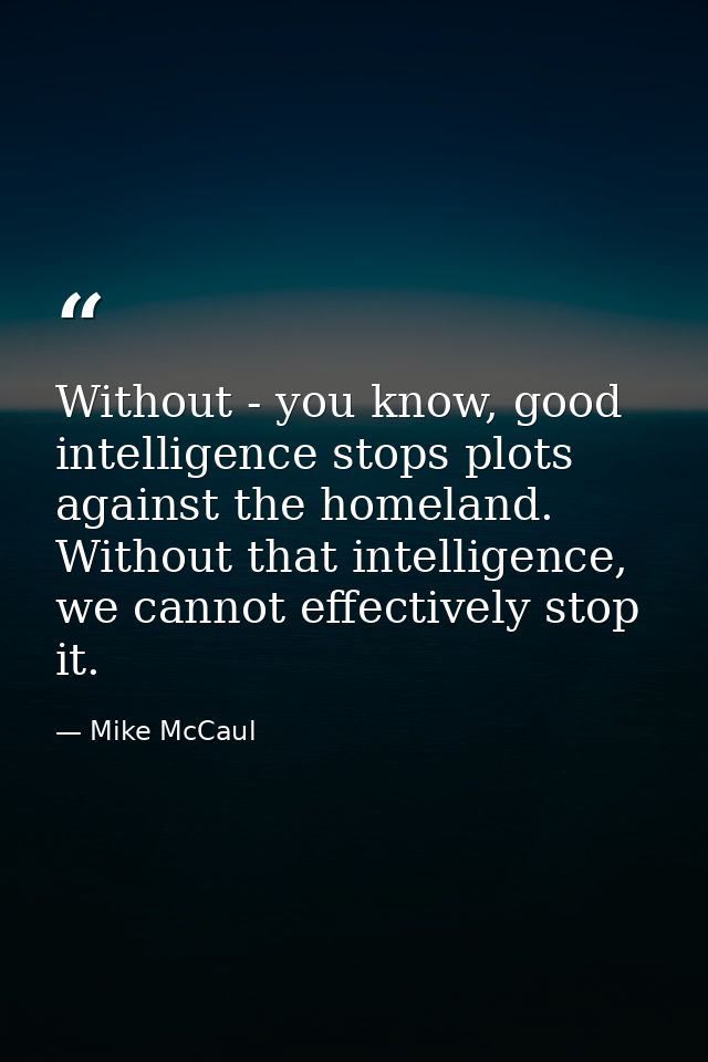 Without - you know, good intelligence stops plots against the homeland. Without that intelligence, we cannot effectively — Mike McCaul