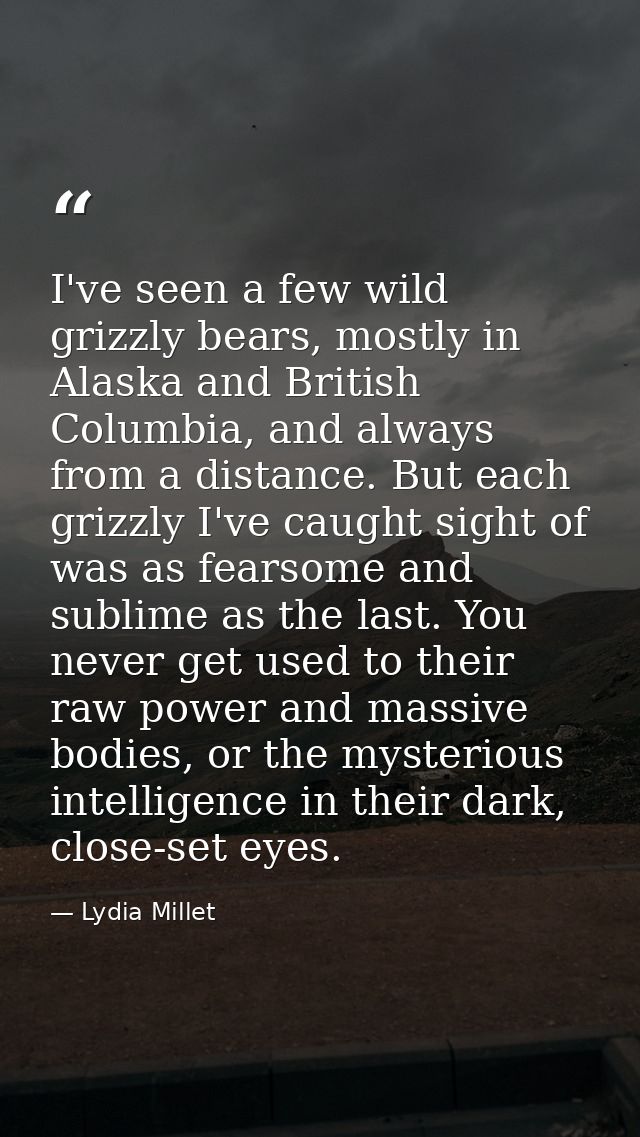 I've seen a few wild grizzly bears, mostly in Alaska and British Columbia, and always from a distance. But each grizzly  — Lydia Millet