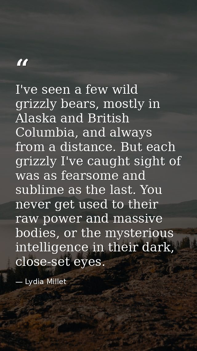 I've seen a few wild grizzly bears, mostly in Alaska and British Columbia, and always from a distance. But each grizzly  — Lydia Millet