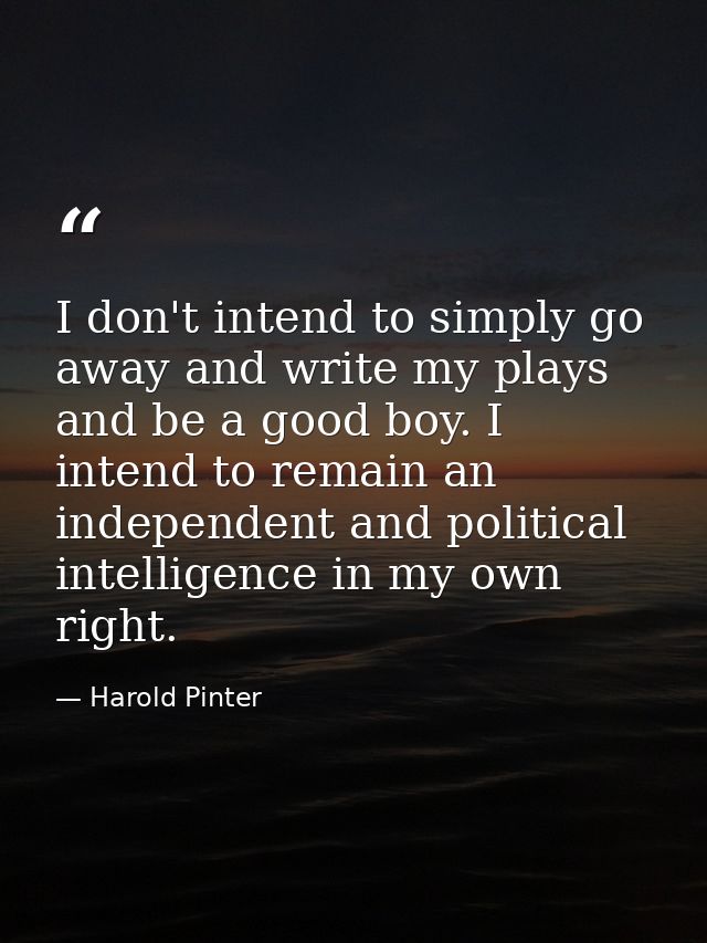 I don't intend to simply go away and write my plays and be a good boy. I intend to remain an independent and political i — Harold Pinter