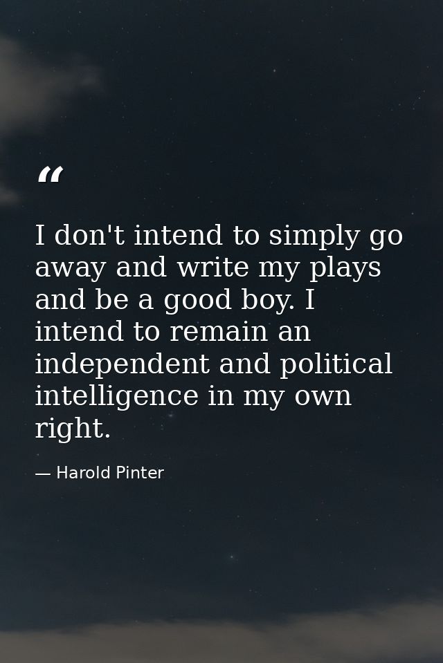 I don't intend to simply go away and write my plays and be a good boy. I intend to remain an independent and political i — Harold Pinter