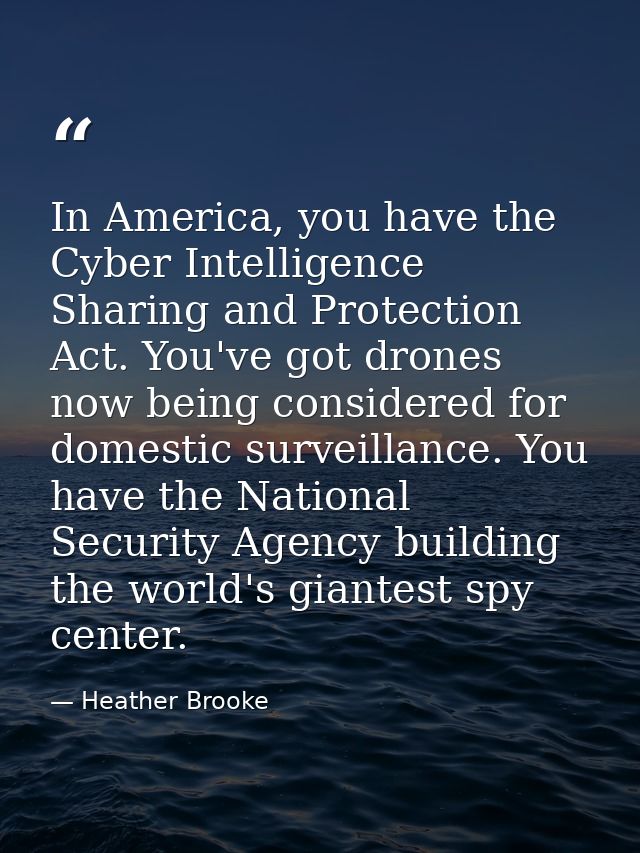 In America, you have the Cyber Intelligence Sharing and Protection Act. You've got drones now being considered for domes — Heather Brooke