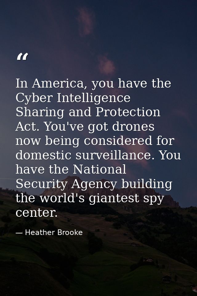 In America, you have the Cyber Intelligence Sharing and Protection Act. You've got drones now being considered for domes — Heather Brooke