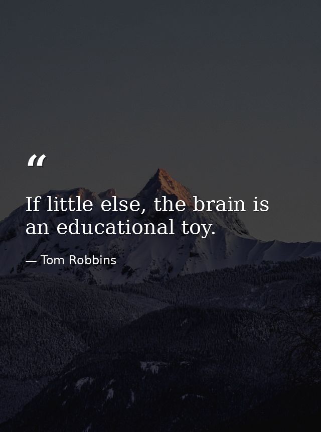 If little else, the brain is an educational toy. — Tom Robbins