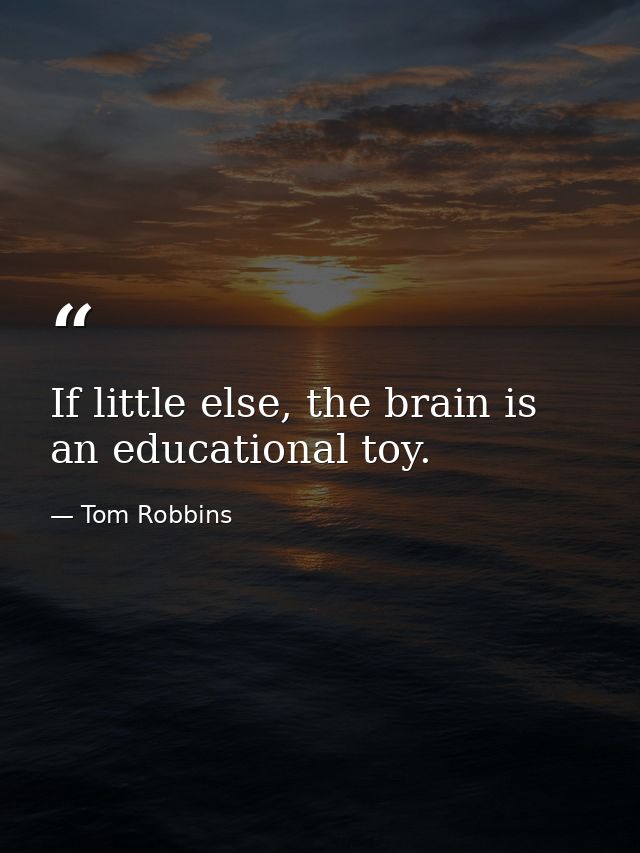 If little else, the brain is an educational toy. — Tom Robbins