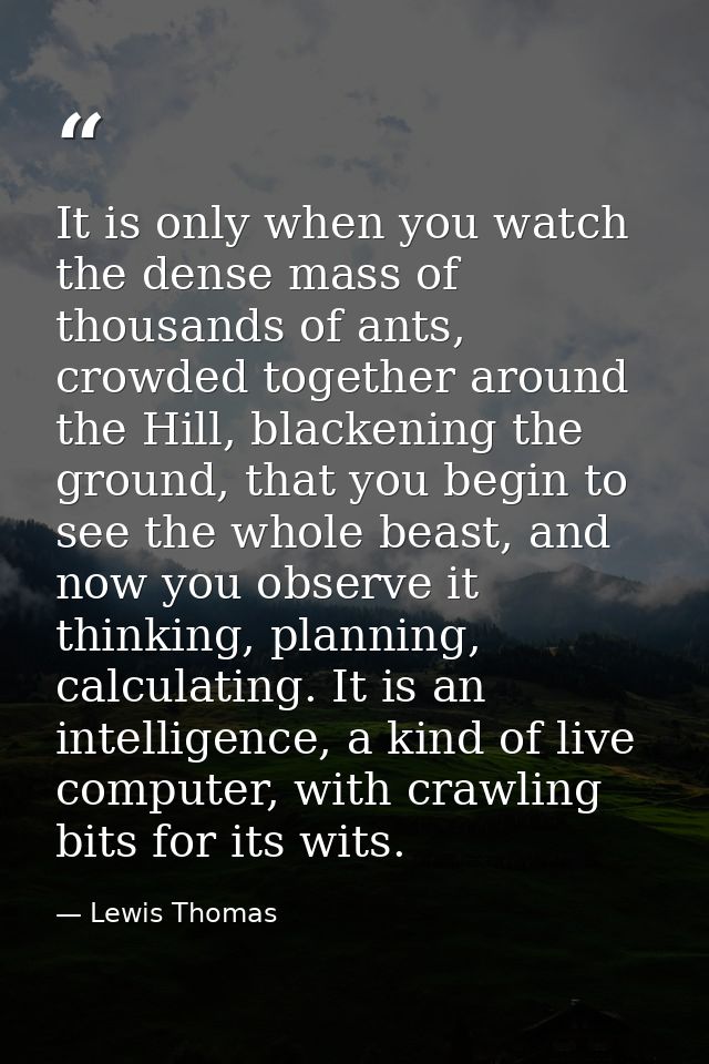 It is only when you watch the dense mass of thousands of ants, crowded together around the Hill, blackening the ground,  — Lewis Thomas