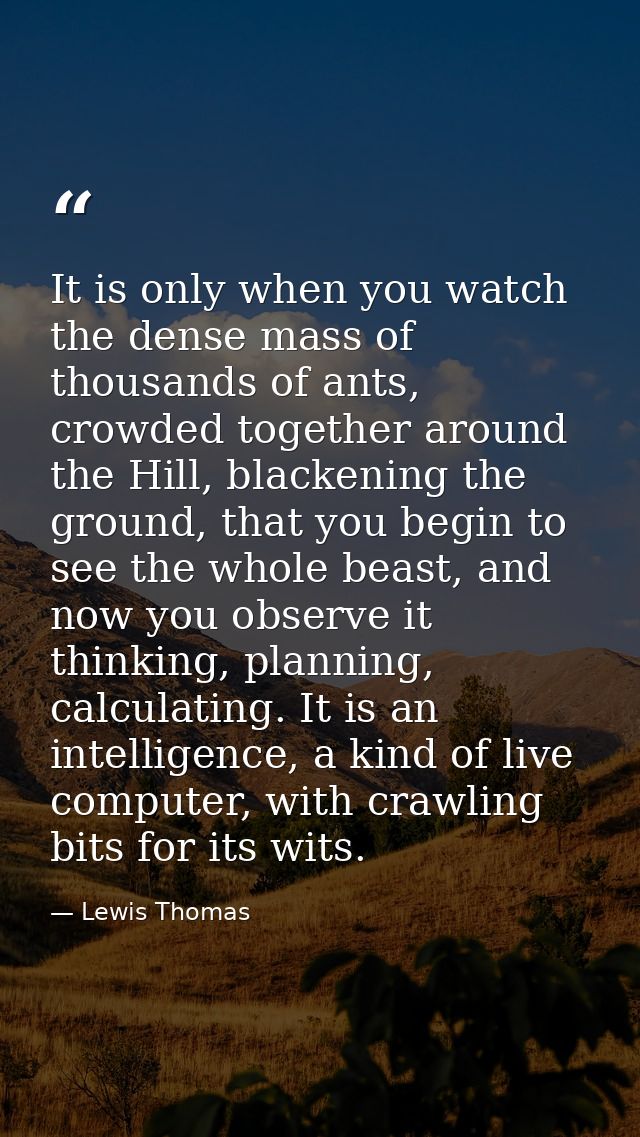 It is only when you watch the dense mass of thousands of ants, crowded together around the Hill, blackening the ground,  — Lewis Thomas