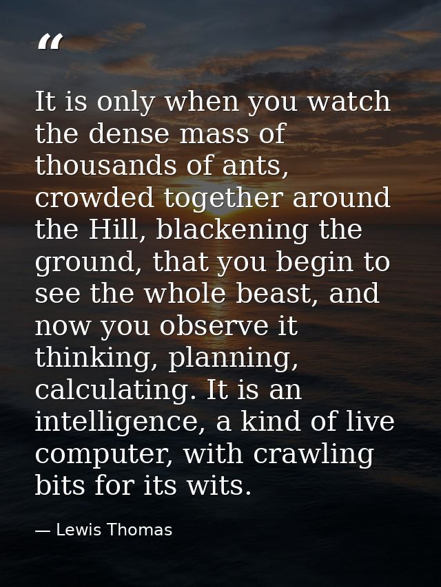 It is only when you watch the dense mass of thousands of ants, crowded together around the Hill, blackening the ground,  — Lewis Thomas