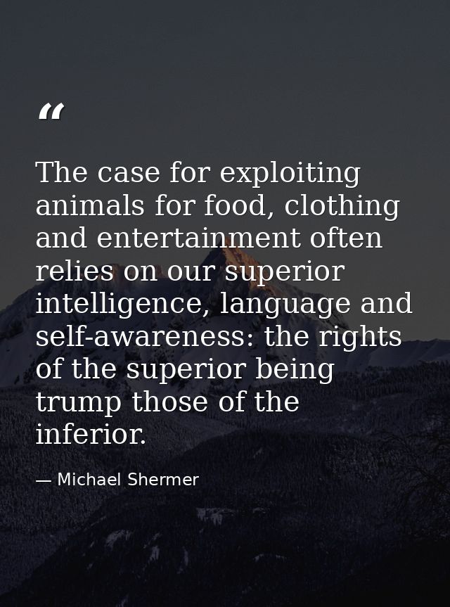 The case for exploiting animals for food, clothing and entertainment often relies on our superior intelligence, language — Michael Shermer