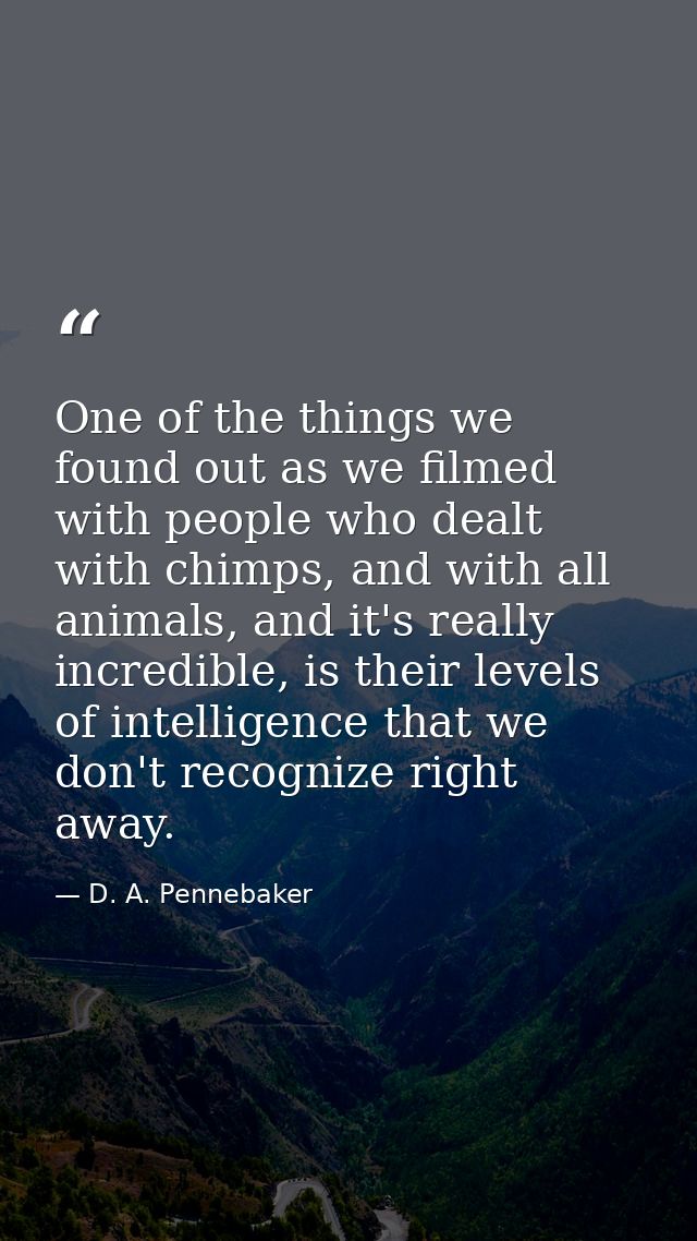 One of the things we found out as we filmed with people who dealt with chimps, and with all animals, and it's really inc — D. A. Pennebaker