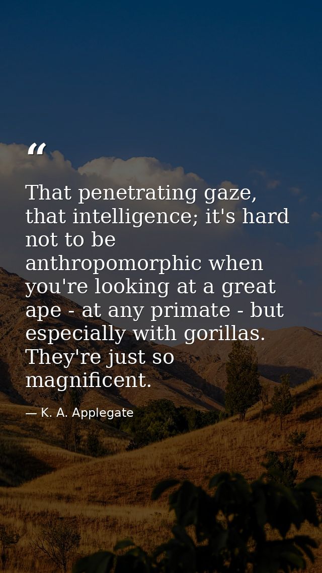 That penetrating gaze, that intelligence; it's hard not to be anthropomorphic when you're looking at a great ape - at an — K. A. Applegate