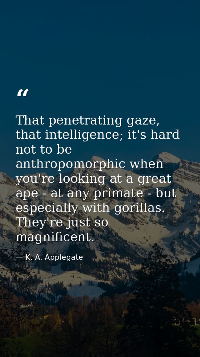 That penetrating gaze, that intelligence; it's hard not to be anthropomorphic when you're looking at a great ape - at an — K. A. Applegate