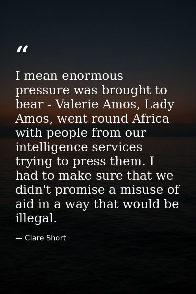 I mean enormous pressure was brought to bear - Valerie Amos, Lady Amos, went round Africa with people from our intellige — Clare Short