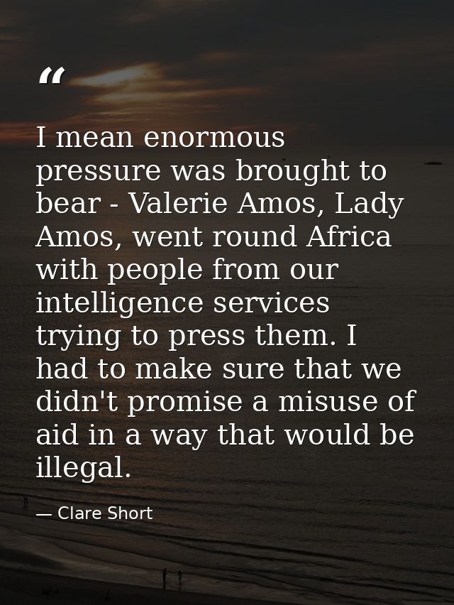 I mean enormous pressure was brought to bear - Valerie Amos, Lady Amos, went round Africa with people from our intellige — Clare Short