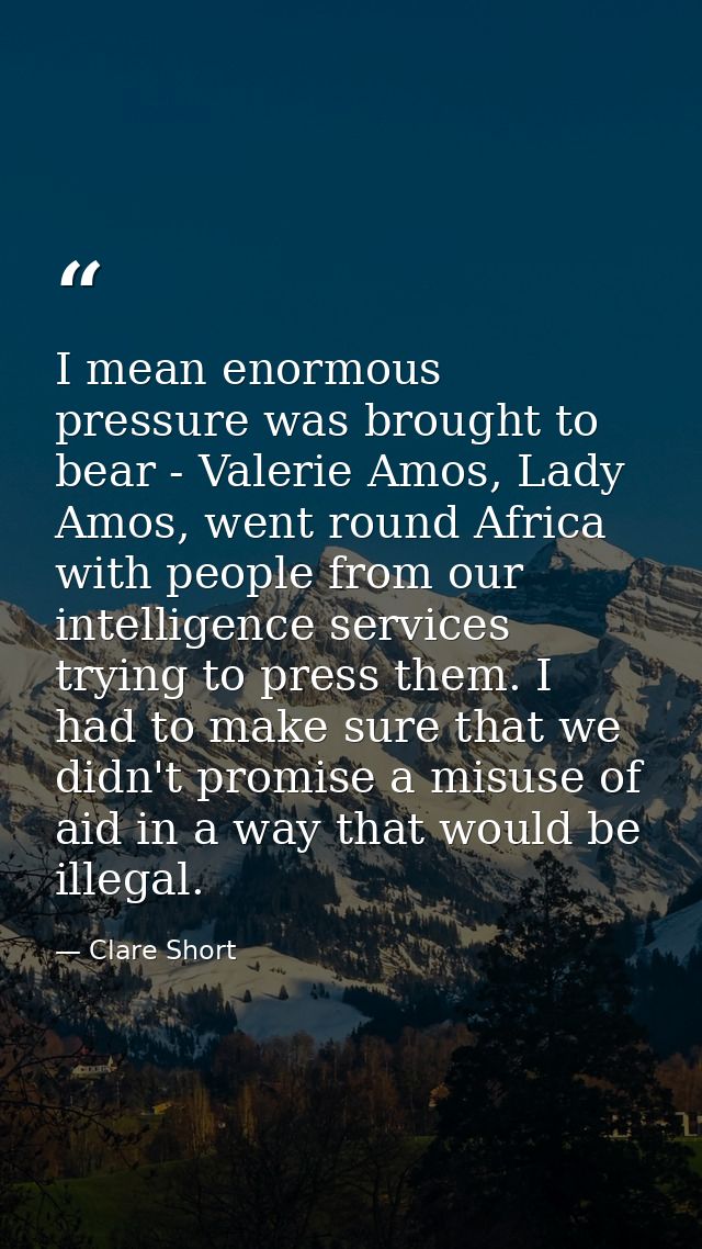 I mean enormous pressure was brought to bear - Valerie Amos, Lady Amos, went round Africa with people from our intellige — Clare Short