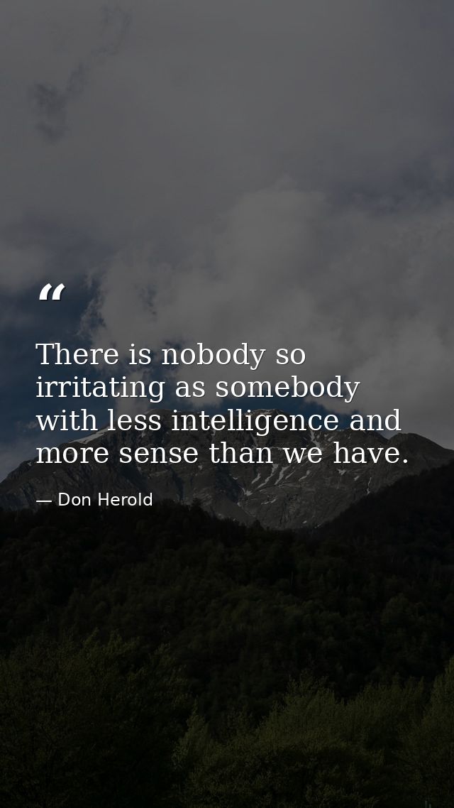 There is nobody so irritating as somebody with less intelligence and more sense than we have. — Don Herold