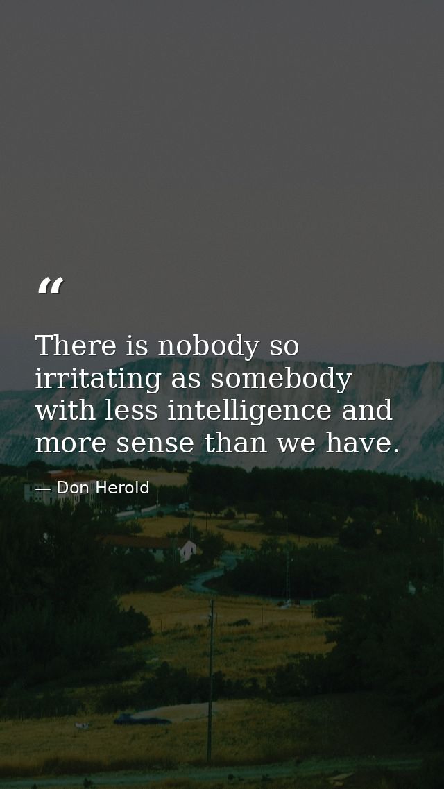There is nobody so irritating as somebody with less intelligence and more sense than we have. — Don Herold