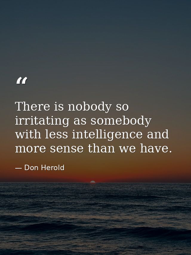 There is nobody so irritating as somebody with less intelligence and more sense than we have. — Don Herold