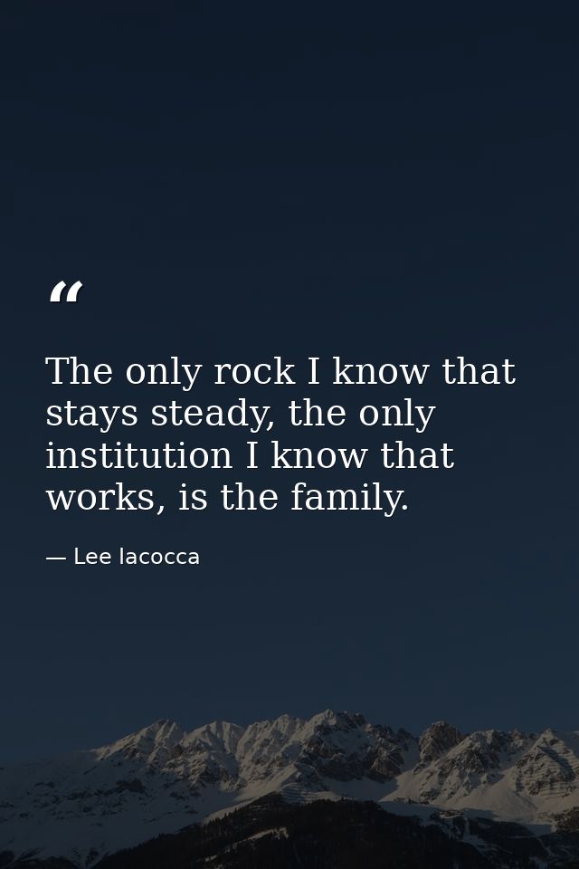 The only rock I know that stays steady, the only institution I know that works, is the family. — Lee Iacocca