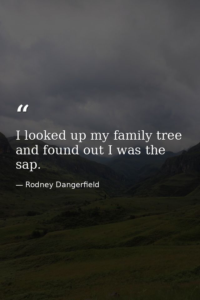 I looked up my family tree and found out I was the sap. — Rodney Dangerfield