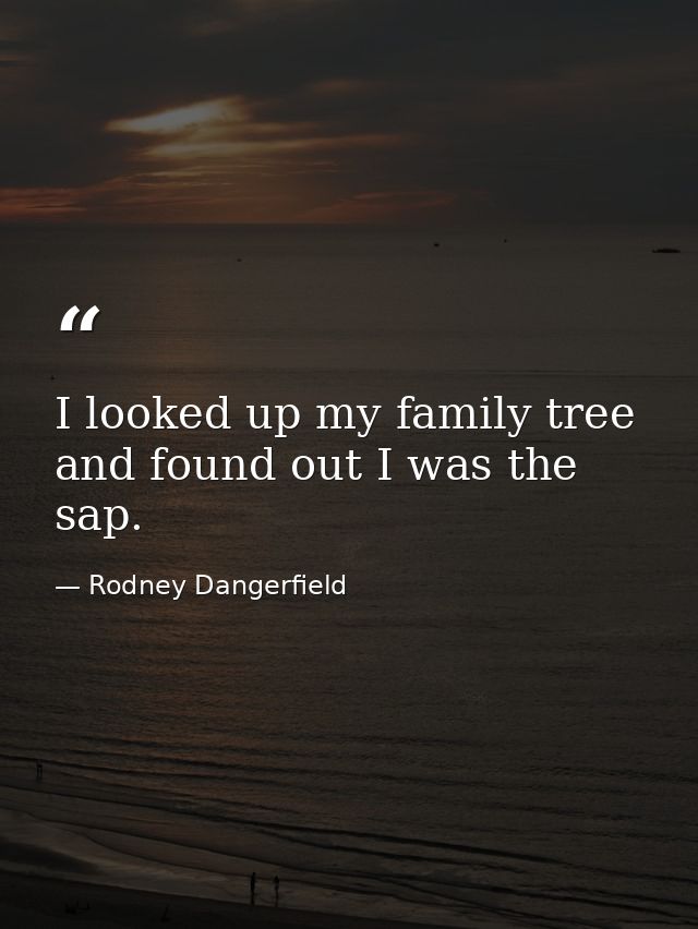 I looked up my family tree and found out I was the sap. — Rodney Dangerfield